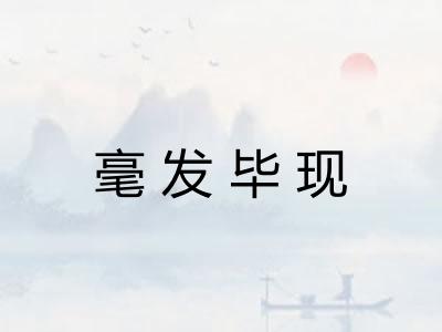 毫发毕现