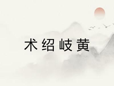 术绍岐黄 术绍岐黄