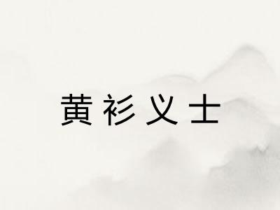 黄衫义士 黄衫义士