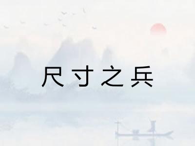 尺寸之兵