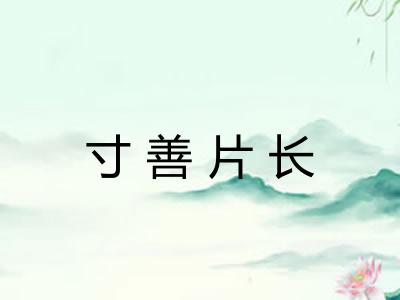 寸善片长 寸善片长