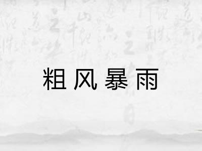 粗风暴雨
