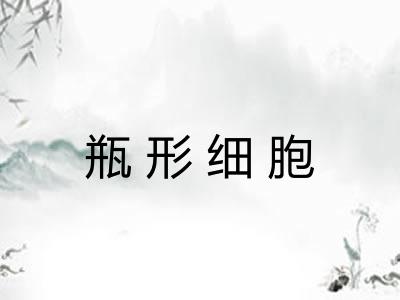 瓶形细胞 瓶形细胞