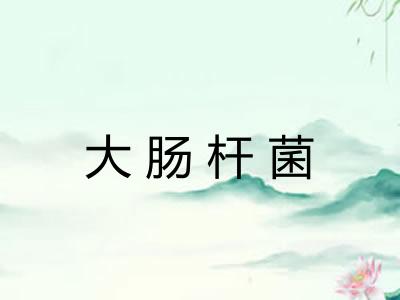 大肠杆菌 大肠杆菌