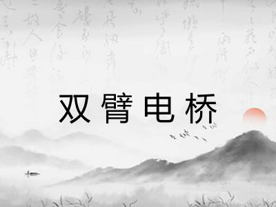 双臂电桥 双臂电桥