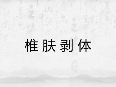 椎肤剥体 椎肤剥体