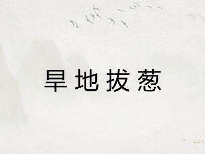 旱地拔葱 旱地拔葱