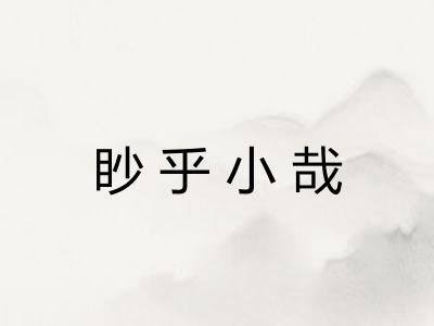 眇乎小哉 眇乎小哉