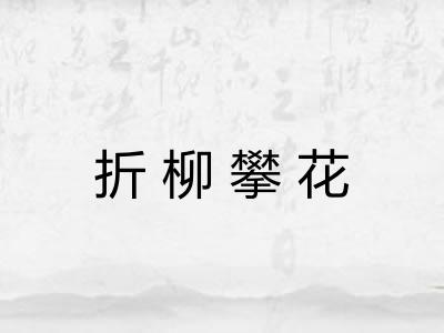 折柳攀花 折柳攀花