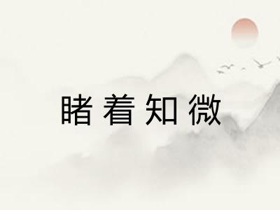 睹着知微 睹着知微