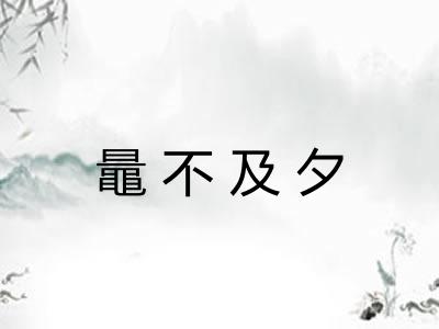 鼂不及夕 鼂不及夕