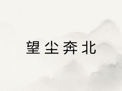 望尘奔北