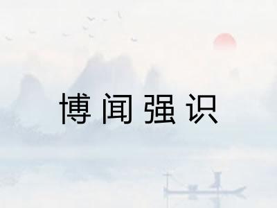 博闻强识