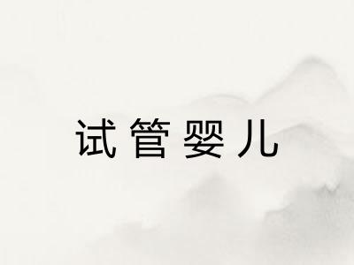 试管婴儿 试管婴儿