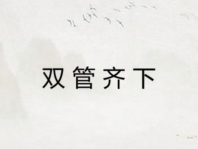 双管齐下 双管齐下