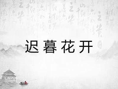迟暮花开 迟暮花开
