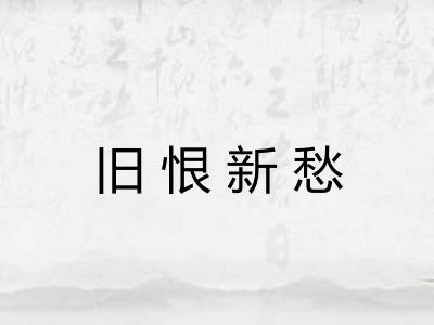 旧恨新愁 旧恨新愁