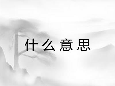 什么意思