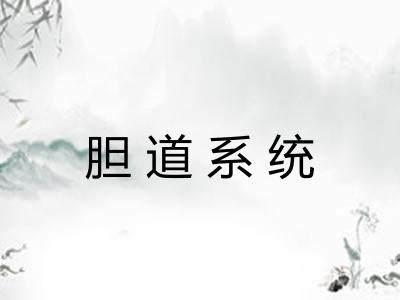 胆道系统 胆道系统