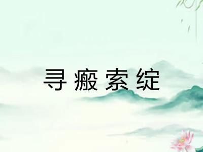 寻瘢索绽 寻瘢索绽