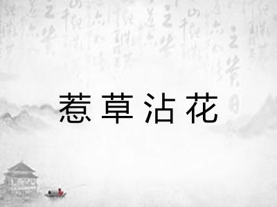 惹草沾花 惹草沾花