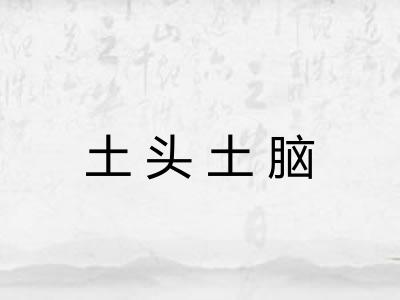 土头土脑