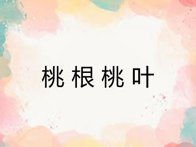 桃根桃叶 桃根桃叶