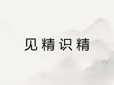 见精识精