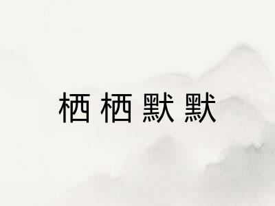 栖栖默默 栖栖默默