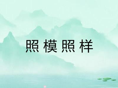 照模照样