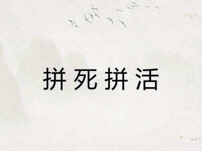 拼死拼活 拼死拼活