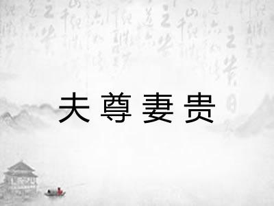 夫尊妻贵 夫尊妻贵