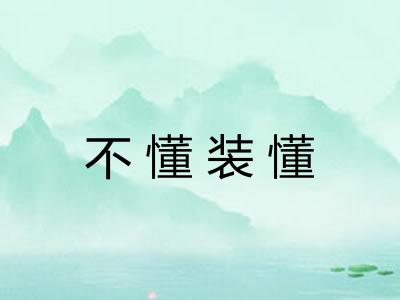 不懂装懂 不懂装懂