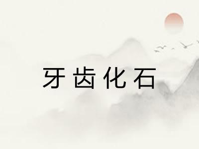 牙齿化石
