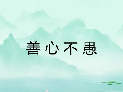 善心不愚 善心不愚