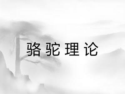 骆驼理论 骆驼理论