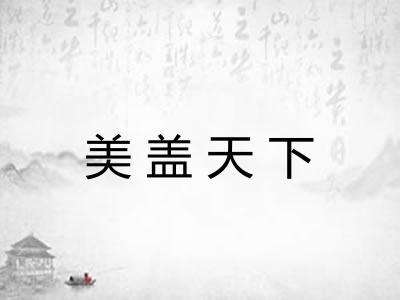 美盖天下