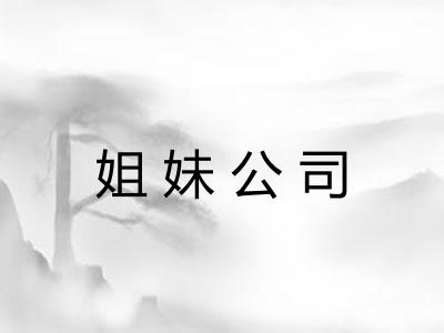 姐妹公司 姐妹公司