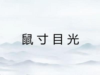 鼠寸目光 鼠寸目光