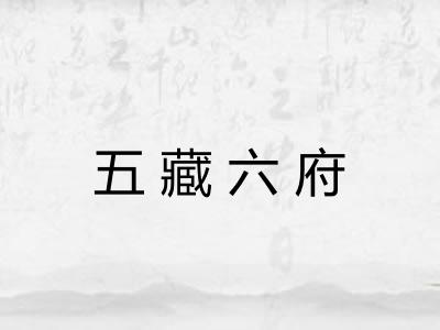 五藏六府