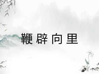 鞭辟向里 鞭辟向里