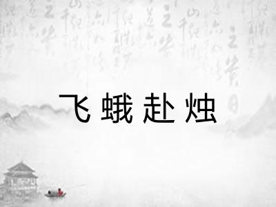 飞蛾赴烛