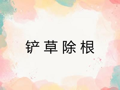 铲草除根 铲草除根