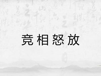 竞相怒放