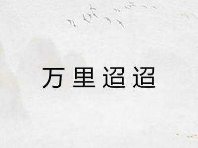 万里迢迢 万里迢迢