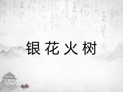 银花火树 银花火树
