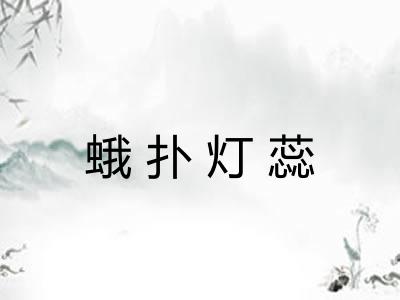 蛾扑灯蕊 蛾扑灯蕊