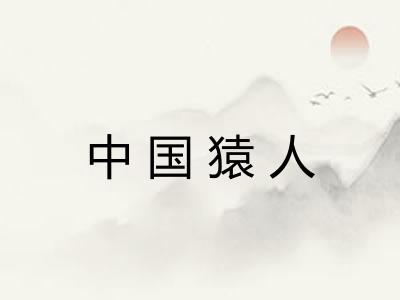 中国猿人 中国猿人