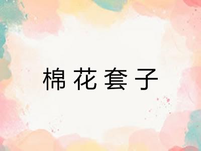 棉花套子 棉花套子