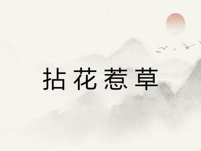 拈花惹草 拈花惹草